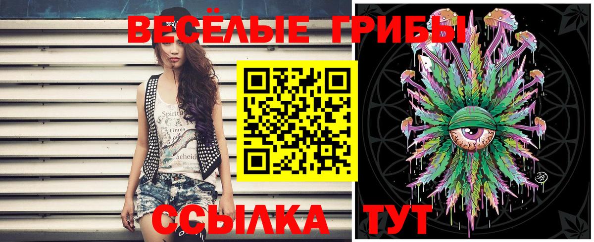Ярцево  Псилоцибиновые грибы Cubensis  Вход с VPN 